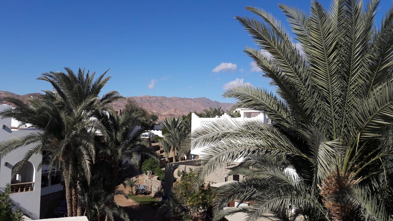 New Yalla Hotel Dahab Luaran gambar